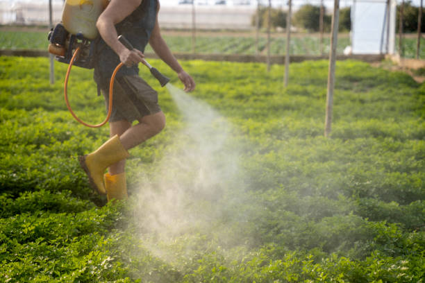 Pest Control for Restaurants in Castle Point, MO