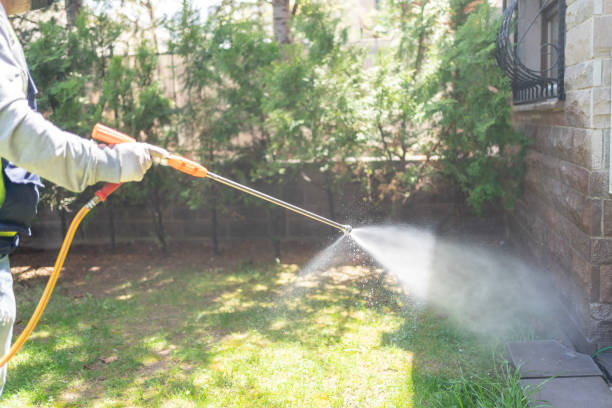 Best Commercial Pest Control Services  in Castle Point, MO