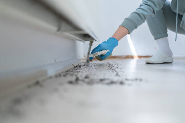 Best Pest Inspection Near Me  in Castle Point, MO